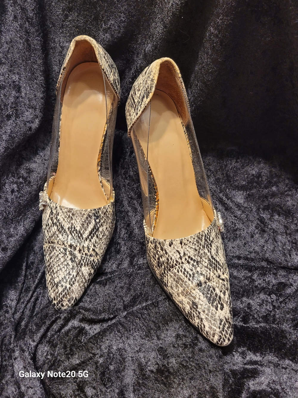 Avanti Snake-Print Pointed Toe Pumps in Neutral